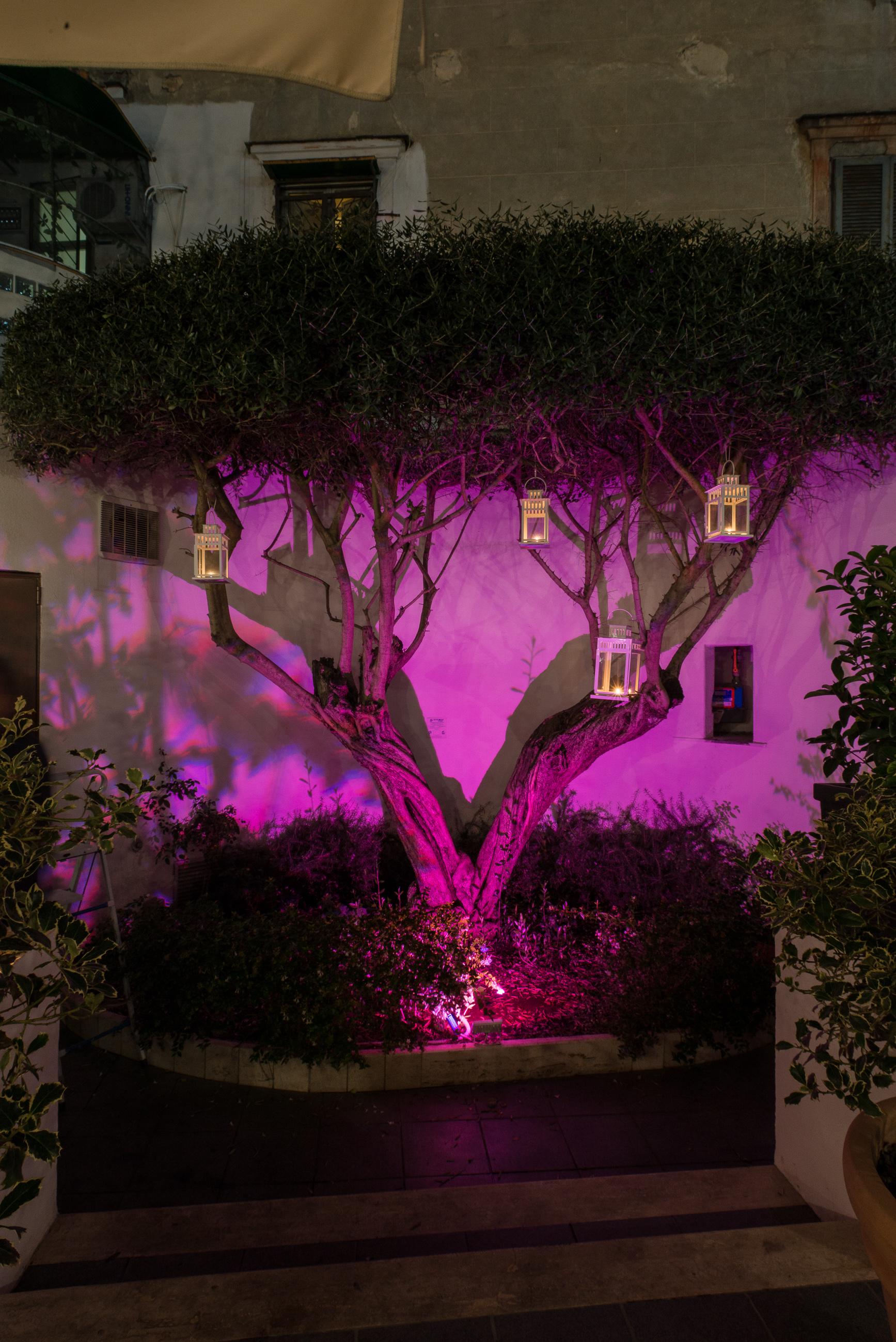 Magri's Hotel Naples